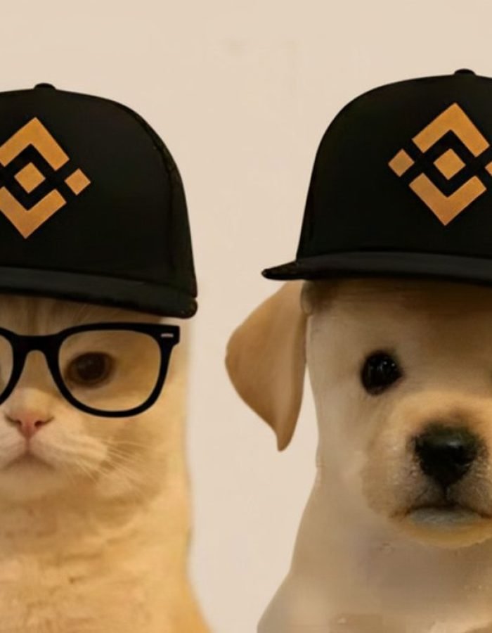 BnB gang